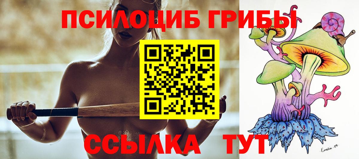 Галлюциногенные грибы мицелий  Псилоцибиновые грибы Cubensis  Кизляр  что такое наркотик  Вход с VPN 
